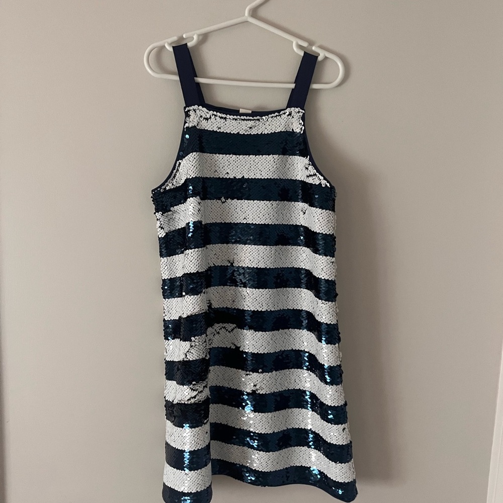 Striped Sequin Dress in Blue and White